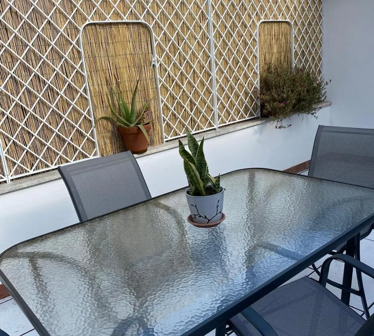 La Mansarda Apartment Fregenae Italy